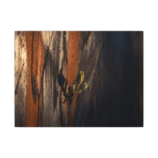 Rust Patina Charcoal Ink Canvas Art | Moody Dark Japandi Art Art Print