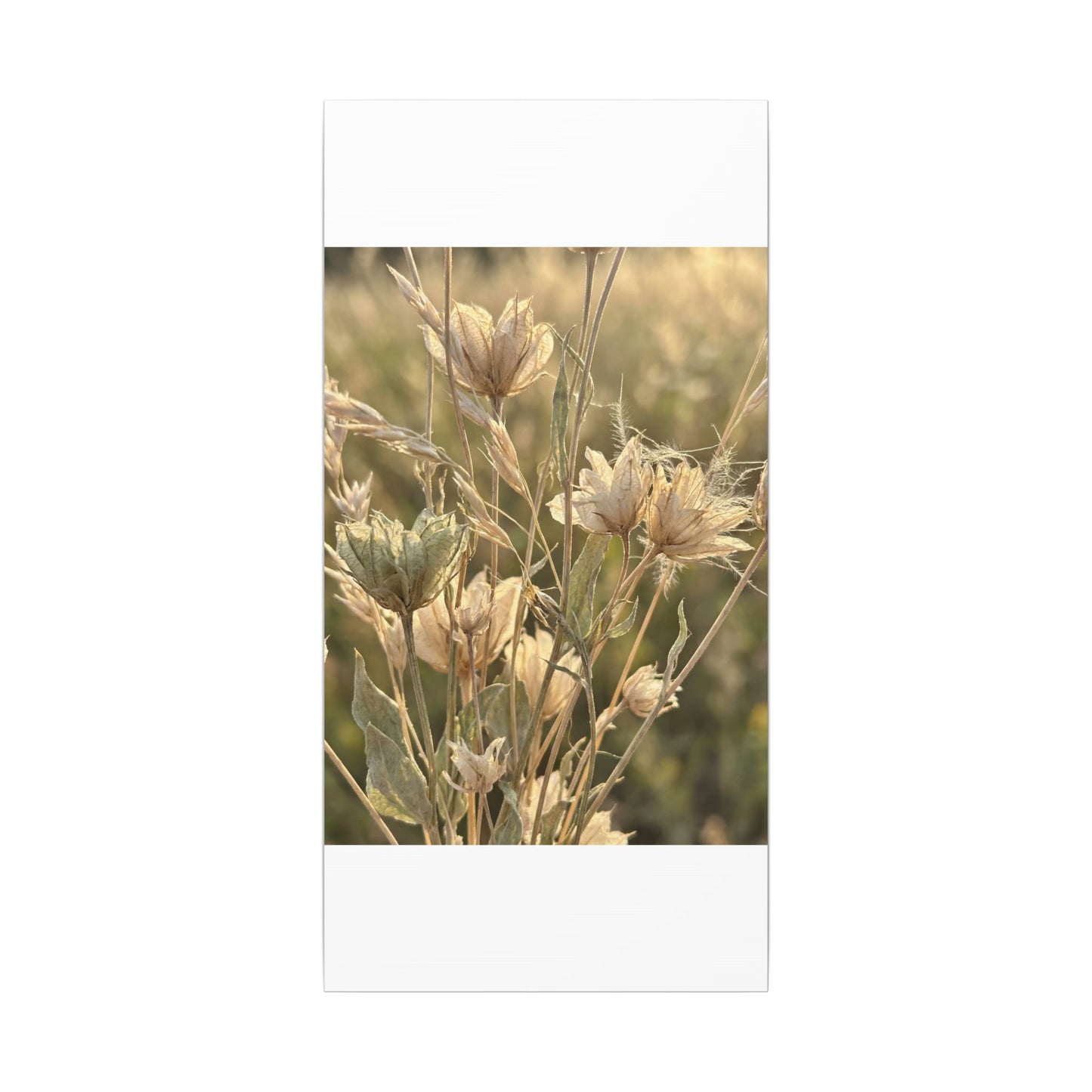 Summer Dried Flowers Minimal Line Canvas Art | Cozy Decor