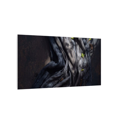 Seijaku Silk Drape Canvas Art - Dark Japandi Dark Texture