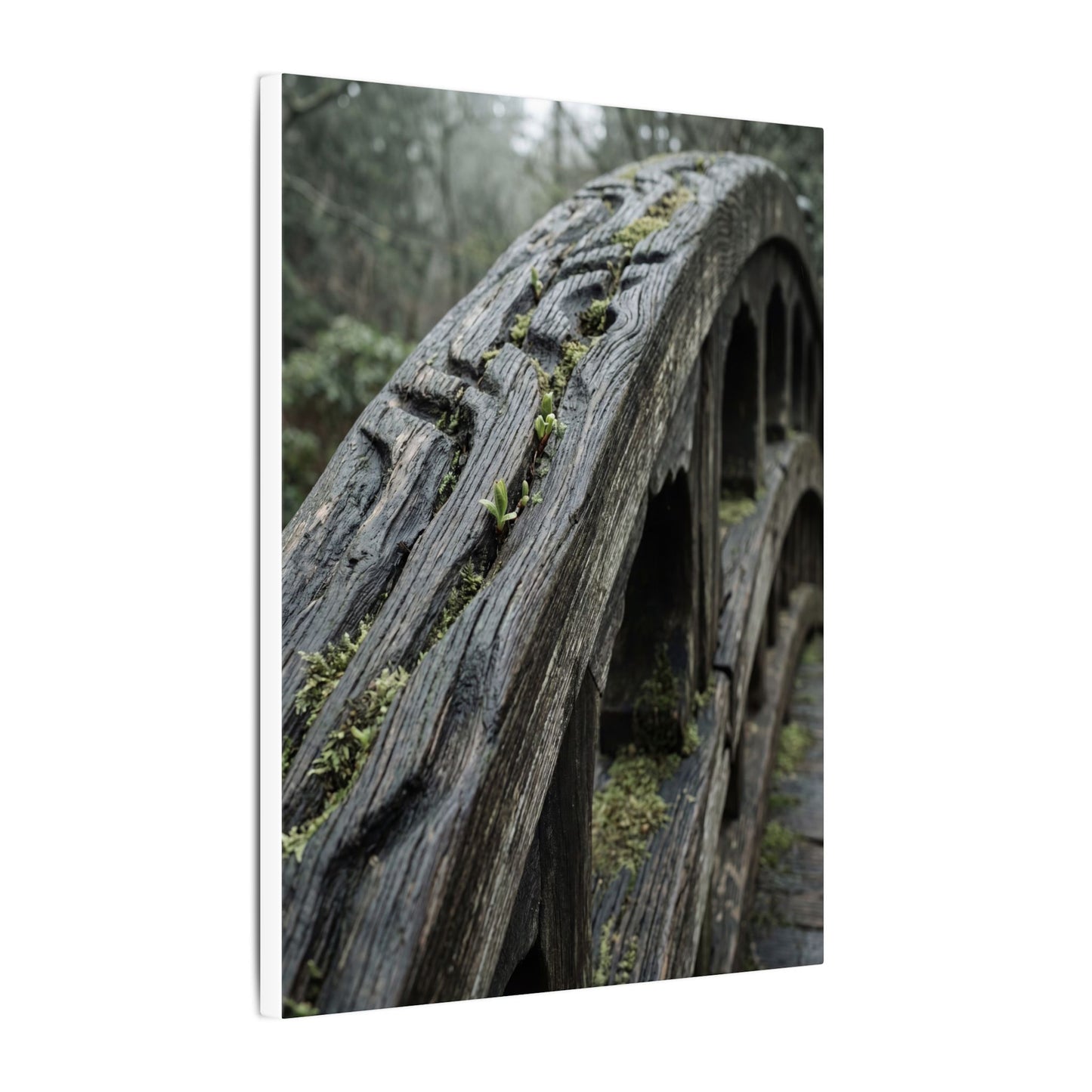 Overcast Wooden Bridge Canvas Art - Japandi Kanso