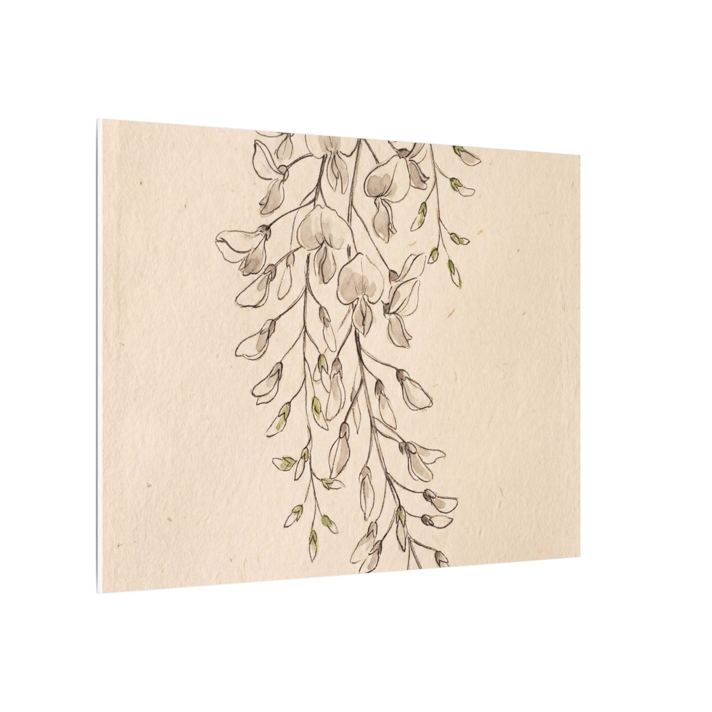 Japandi Wisteria in Golden Hour | Minimal Line Canvas Art