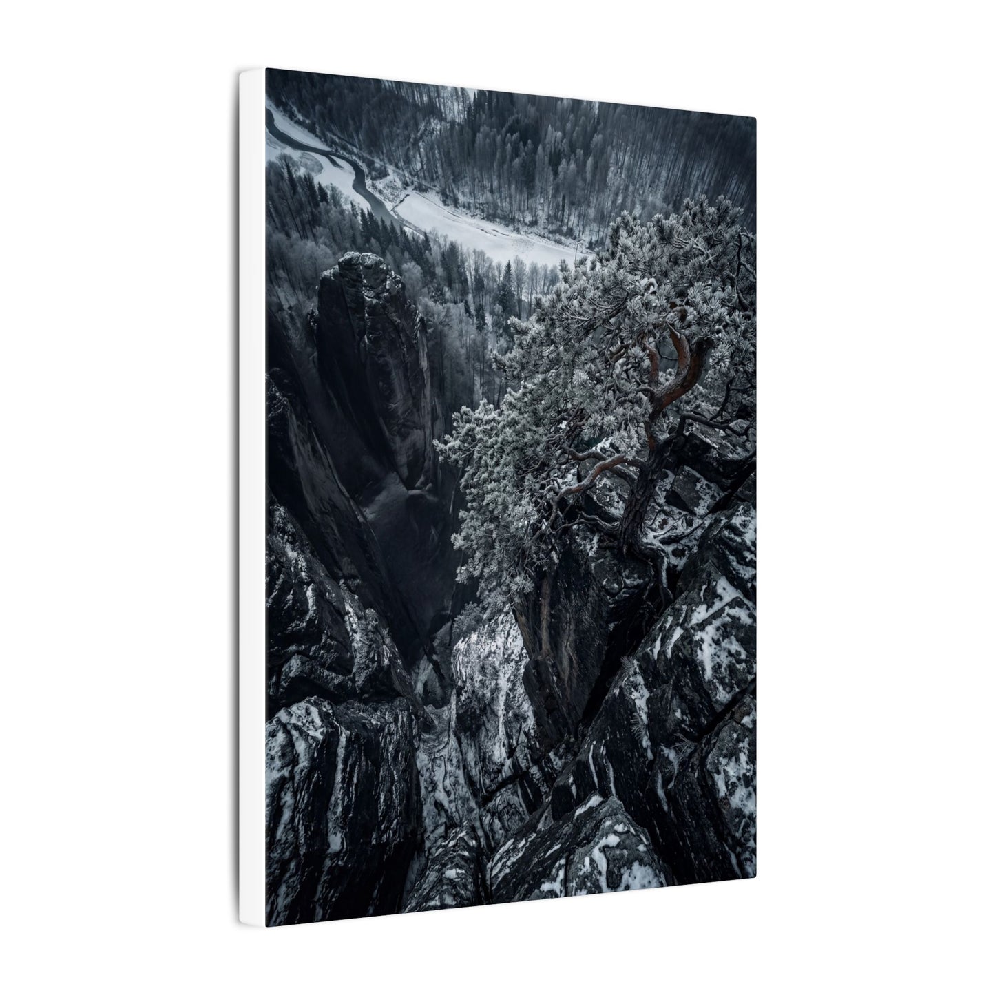 Dark Japandi Pine Tree in Dappled | Dark Texture Canvas Art