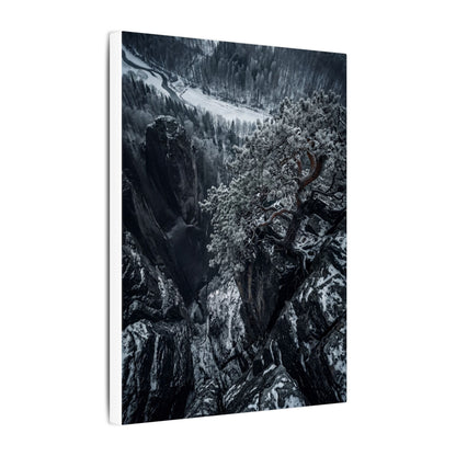 Dark Japandi Pine Tree in Dappled | Dark Texture Canvas Art
