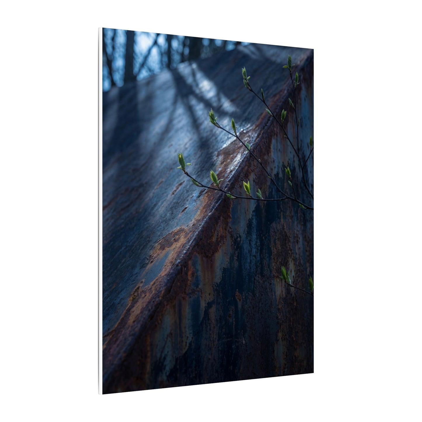 Rust Patina Canvas Art | Spring Dark Japandi Shadow Zen Art