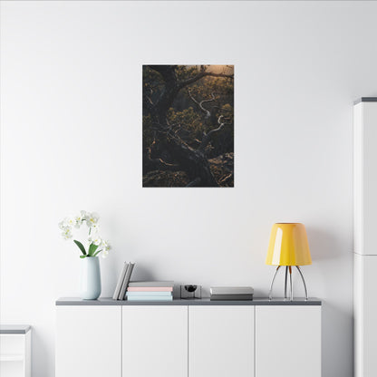 Moody Pine Tree Canvas Art - Moody Minimal Dark Japandi