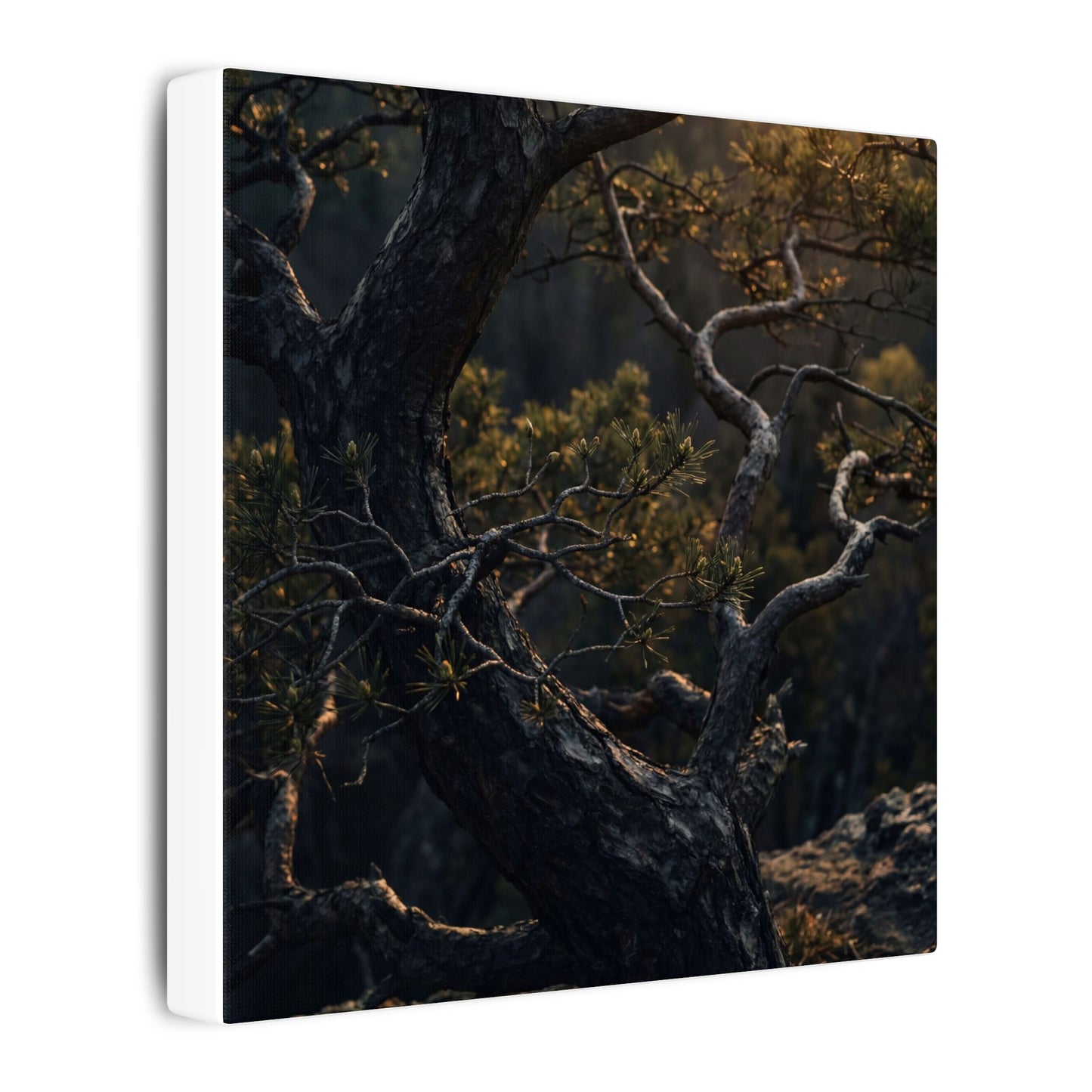 Moody Pine Tree Canvas Art - Moody Minimal Dark Japandi