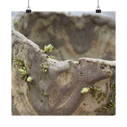 Overcast Ceramic Bowl Wall Art Print - Japandi Fukinsei