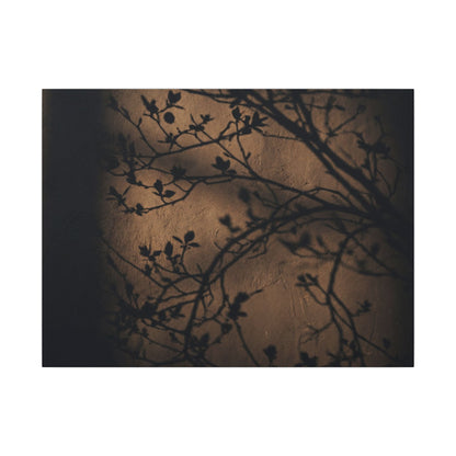 Dark Japandi Shadow Play in Golden Hour | Shadow Zen Canvas Art Art Print