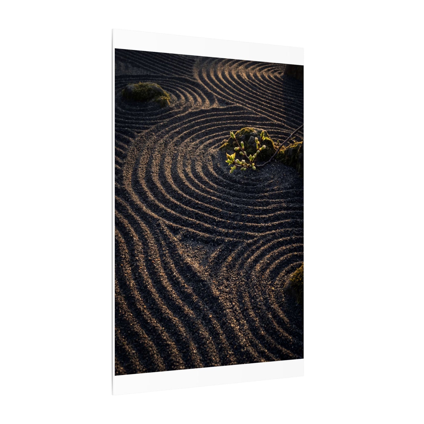 Spring Rock Garden Shadow Zen Canvas Art | Atmospheric Decor