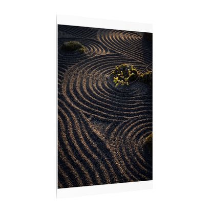 Spring Rock Garden Shadow Zen Canvas Art | Atmospheric Decor