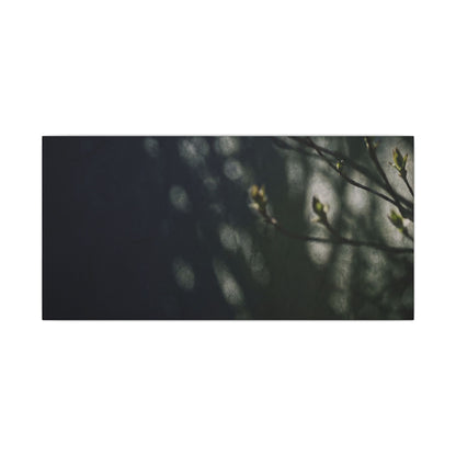Dark Japandi Shoji Screen in Dappled | Moody Minimal Canvas Art