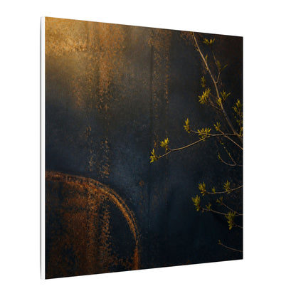 Spring Rust Patina Dark Texture Canvas Art | Moody Decor