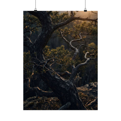 Pine Tree Spring Wall Art Print | Dark Japandi Sophisticated Design Art Print