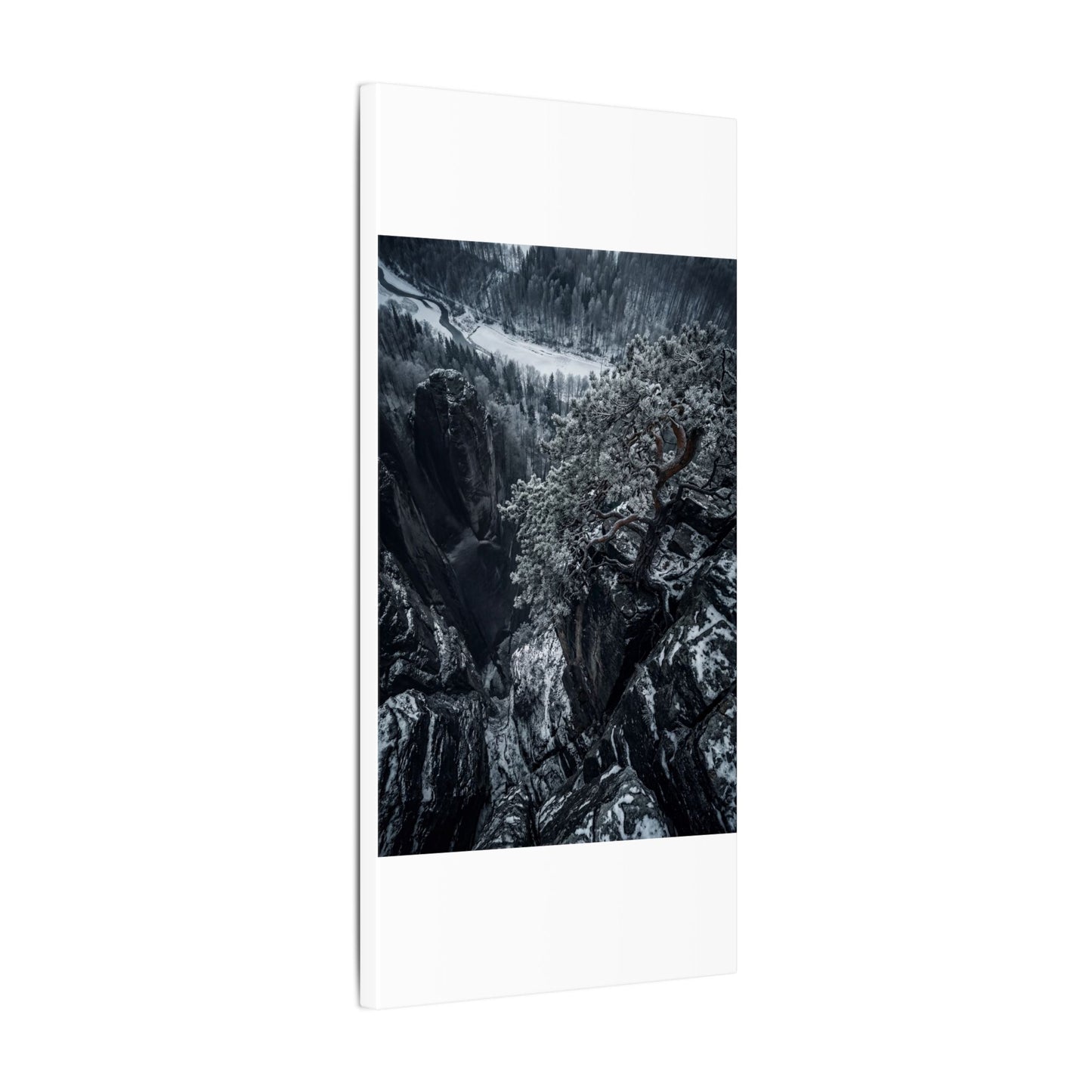 Dark Japandi Pine Tree in Dappled | Dark Texture Canvas Art