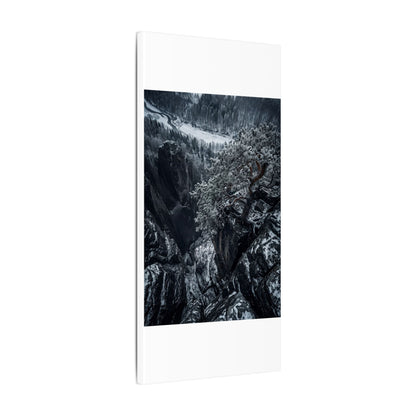 Dark Japandi Pine Tree in Dappled | Dark Texture Canvas Art