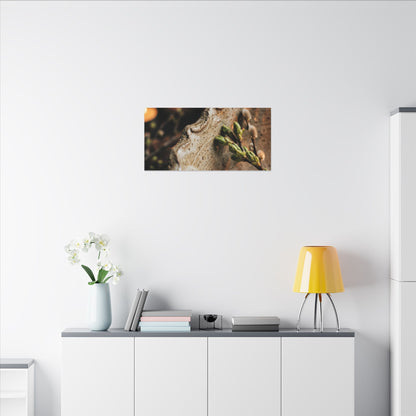 Overcast Ceramic Bowl Canvas Art - Japandi Ma