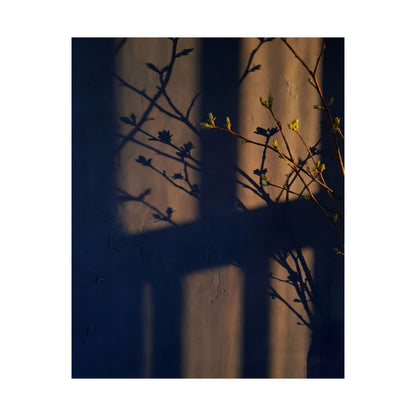 Shibui Shadow Play Wall Art Print - Dark Japandi Shadow Zen