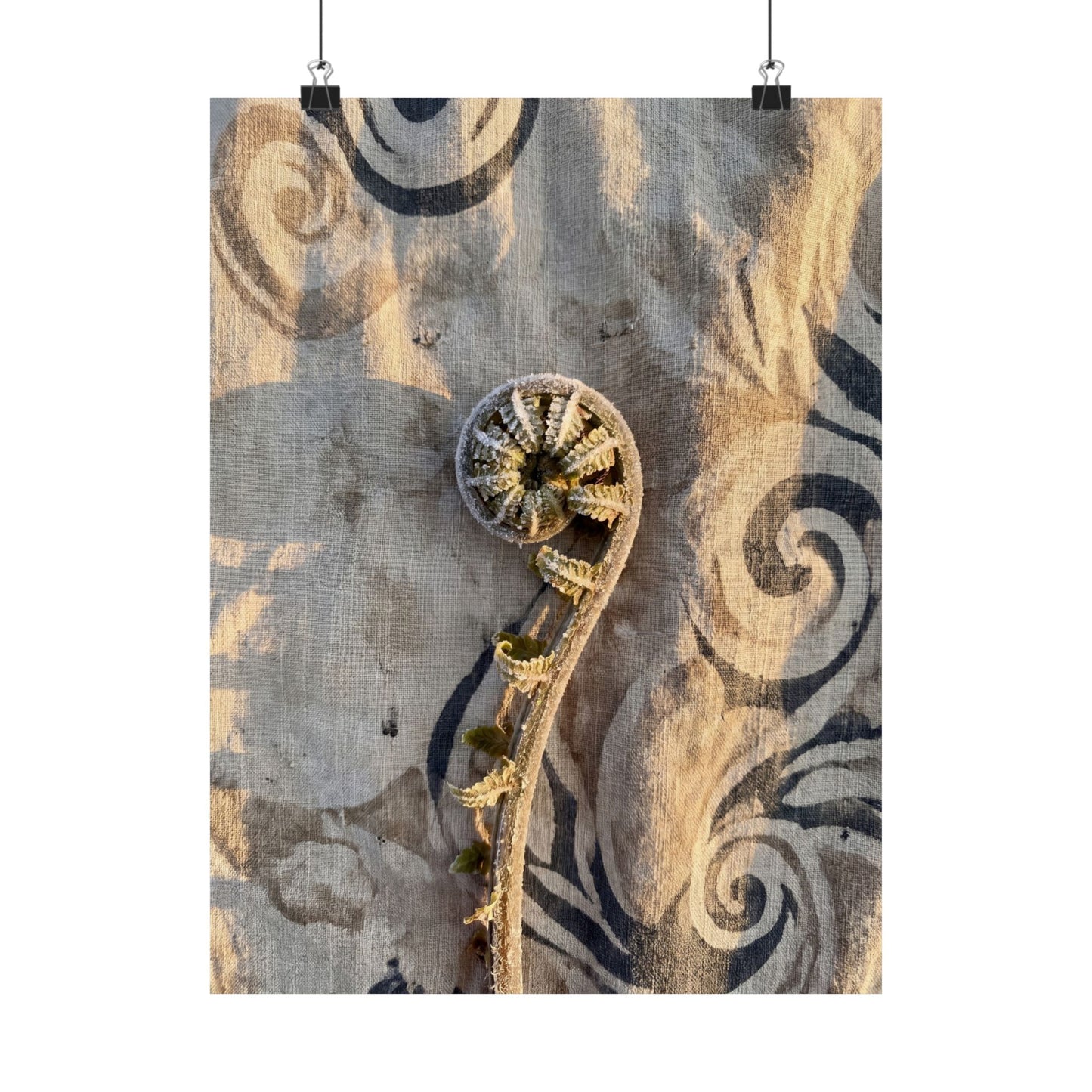 Fern Unfurling Winter Wall Art Print | Japandi Warm Design
