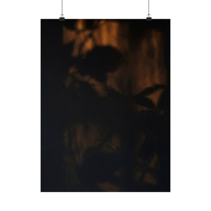 Shadow Play Summer Wall Art Print | Dark Japandi Atmospheric Design Art Print