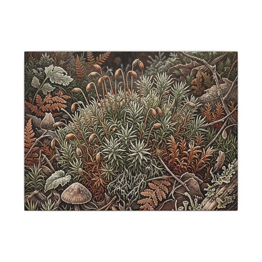 Cottagecore Moss Close Up in Dawn | Vintage Botanical Canvas Art