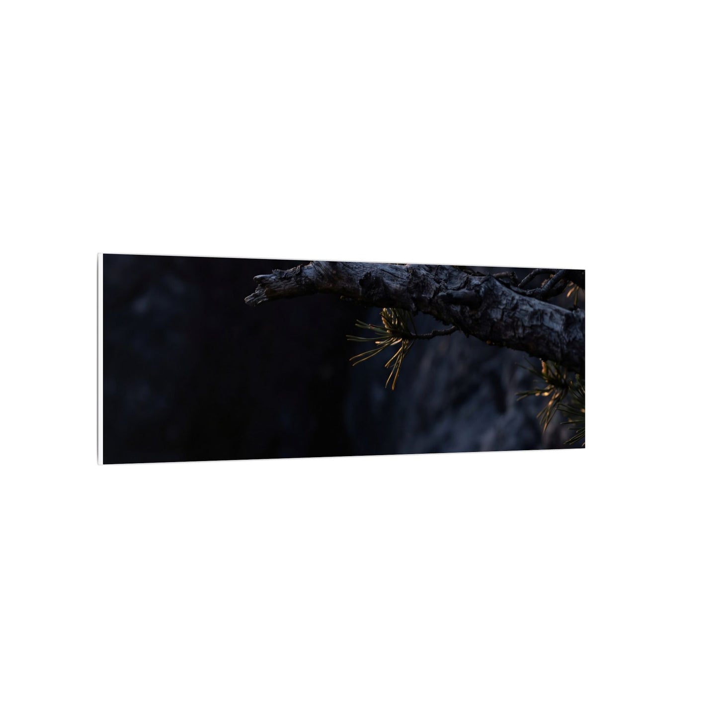 Pine Tree Moody Minimal Canvas Art | Sophisticated Dark Japandi Art