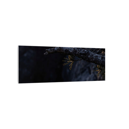 Pine Tree Moody Minimal Canvas Art | Sophisticated Dark Japandi Art