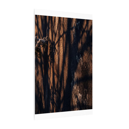 Golden Hour Shadow Play Canvas Art - Dark Japandi Fukinsei