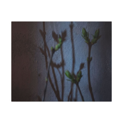 Shadow Play Spring Canvas Art | Dark Japandi Sophisticated Design