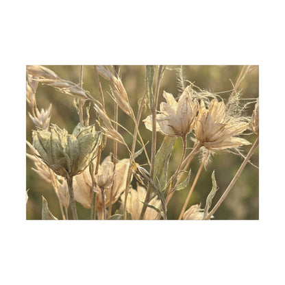 Summer Dried Flowers Minimal Line Canvas Art | Cozy Decor Art Print