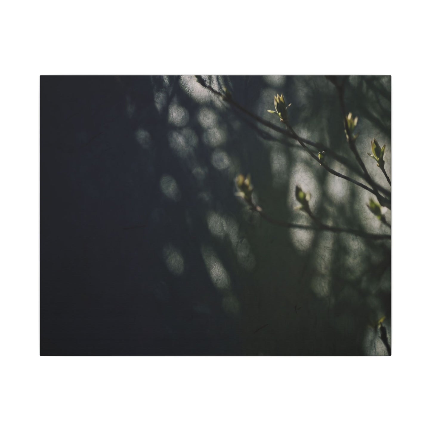 Dark Japandi Shoji Screen in Dappled | Moody Minimal Canvas Art Art Print