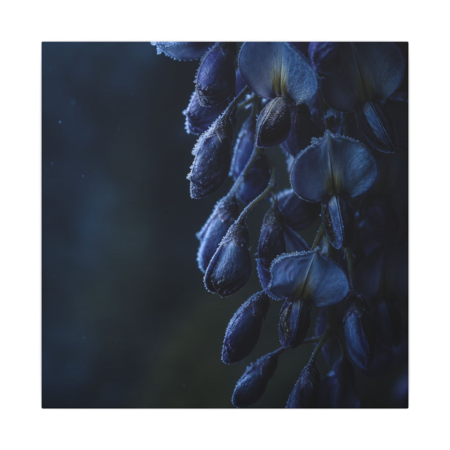 Winter Wisteria Shadow Zen Canvas Art | Atmospheric Decor