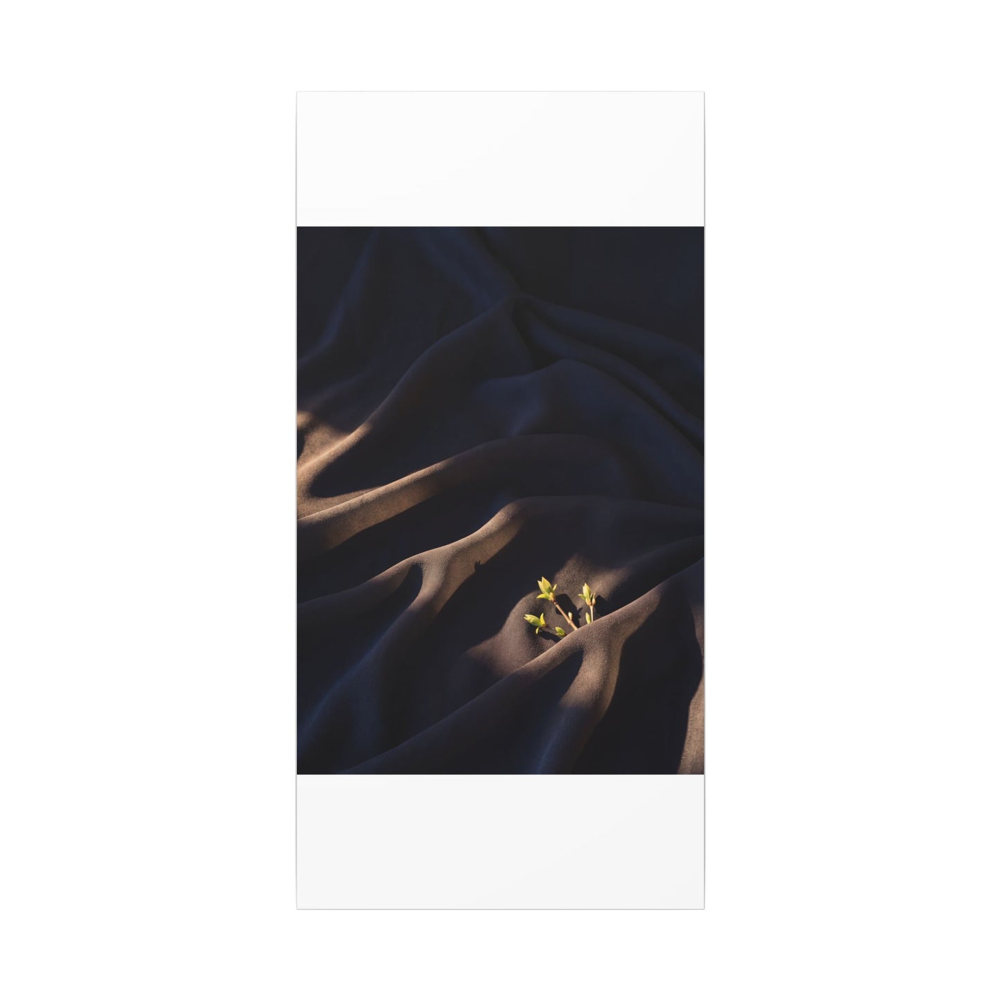 Silk Drape Shadow Zen Canvas Art | Luxurious Dark Japandi Art
