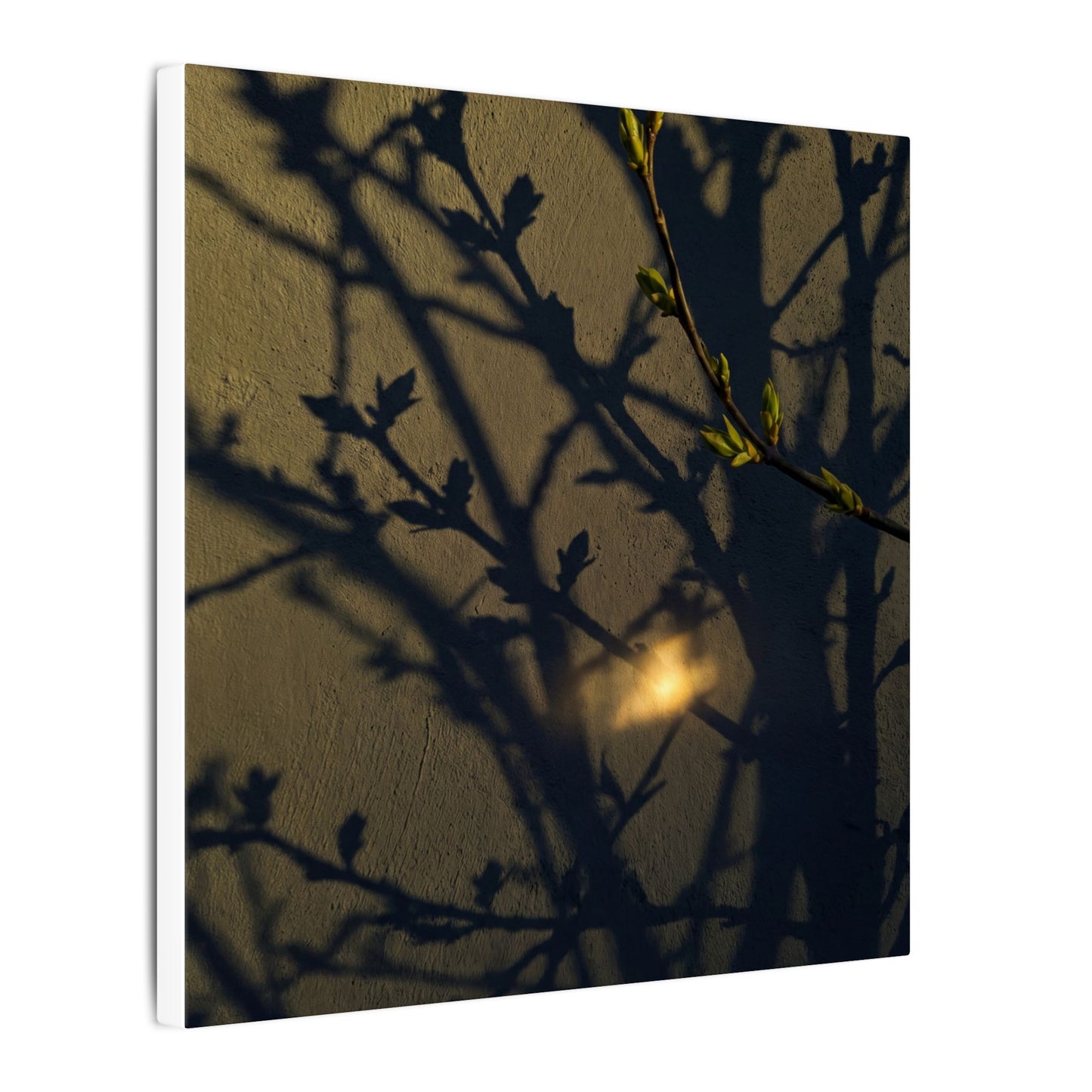 Bold Shadow Play Canvas Art - Moody Minimal Dark Japandi