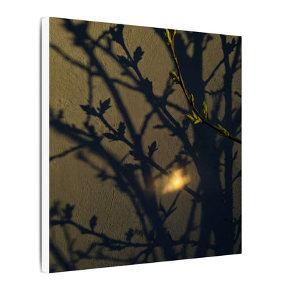 Bold Shadow Play Canvas Art - Moody Minimal Dark Japandi