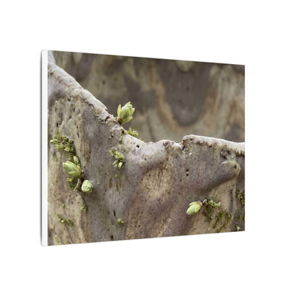 Overcast Ceramic Bowl Canvas Art - Japandi Fukinsei