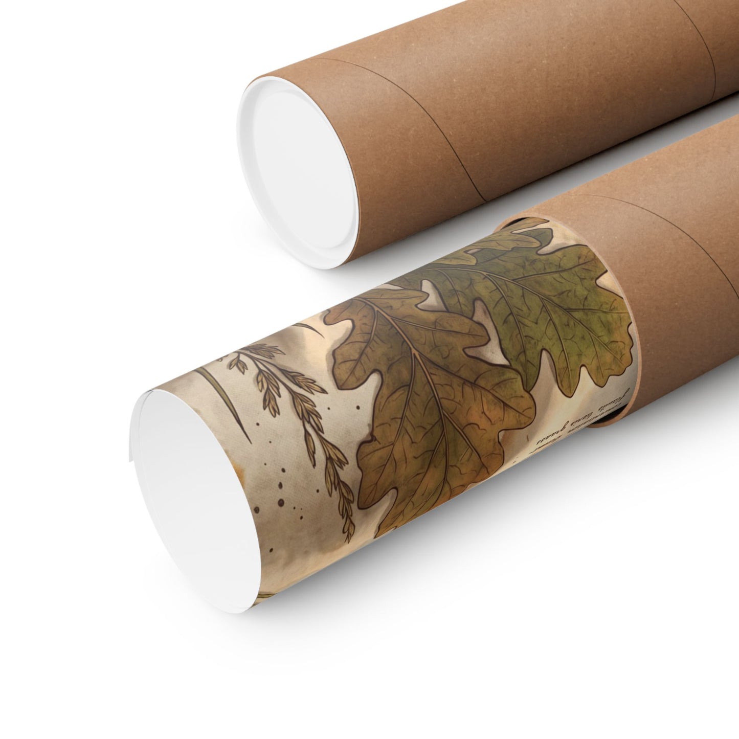 Spring Silk Drape Herbarium Wall Art Print | Nostalgic Decor