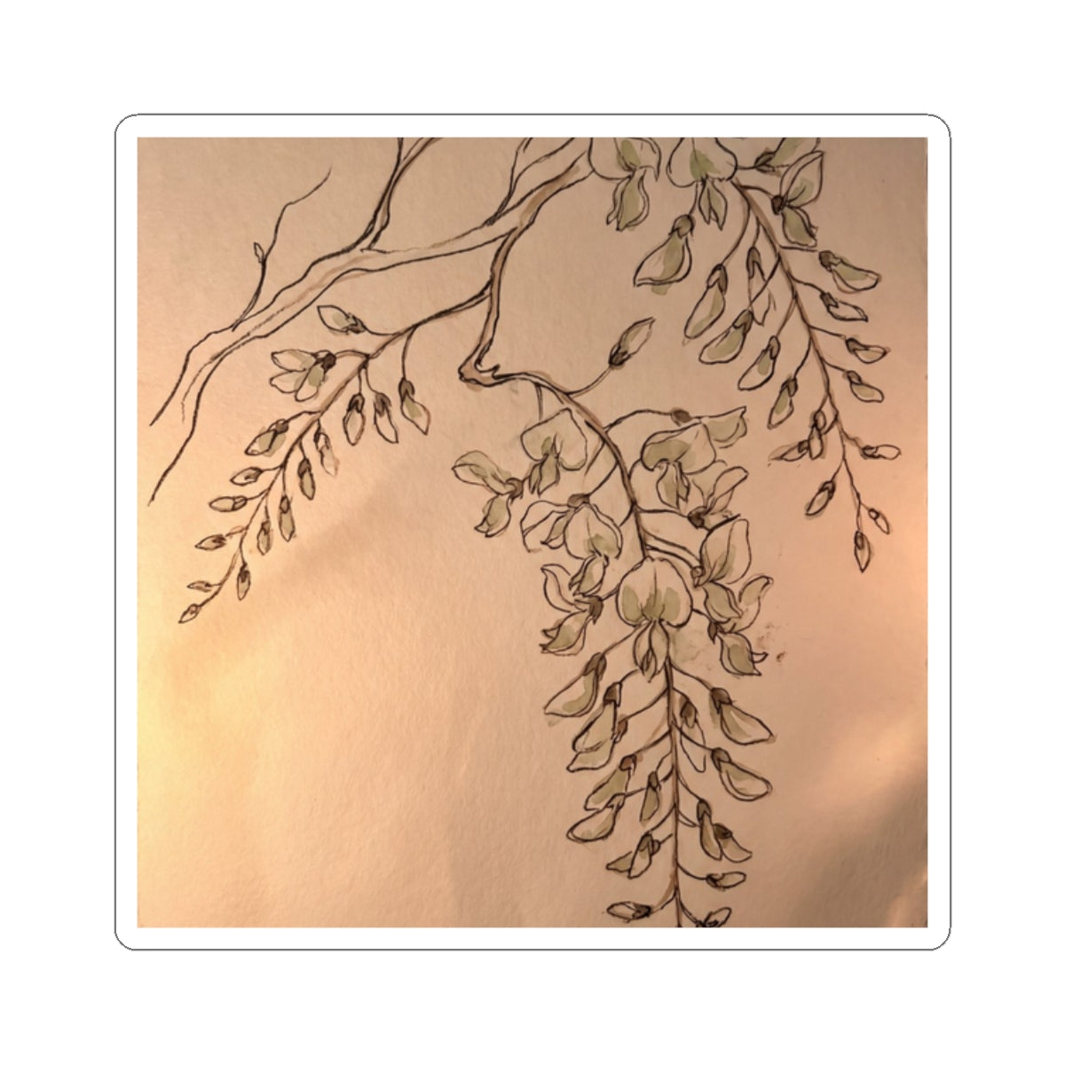 Spring Wisteria Minimal Line Sticker | Elegant Decor Art Print