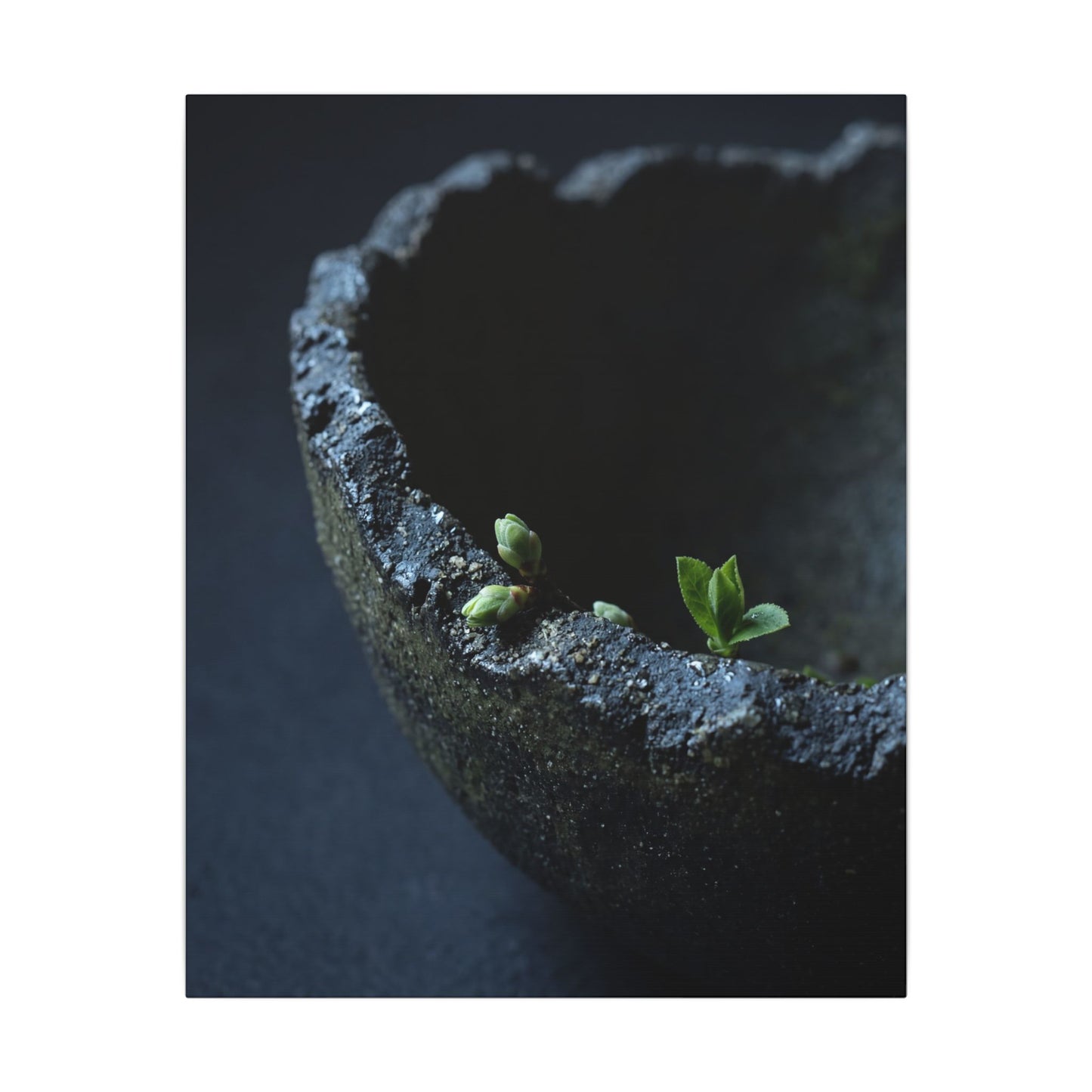 Ceramic Bowl Moody Minimal Canvas Art | Sophisticated Dark Japandi Art