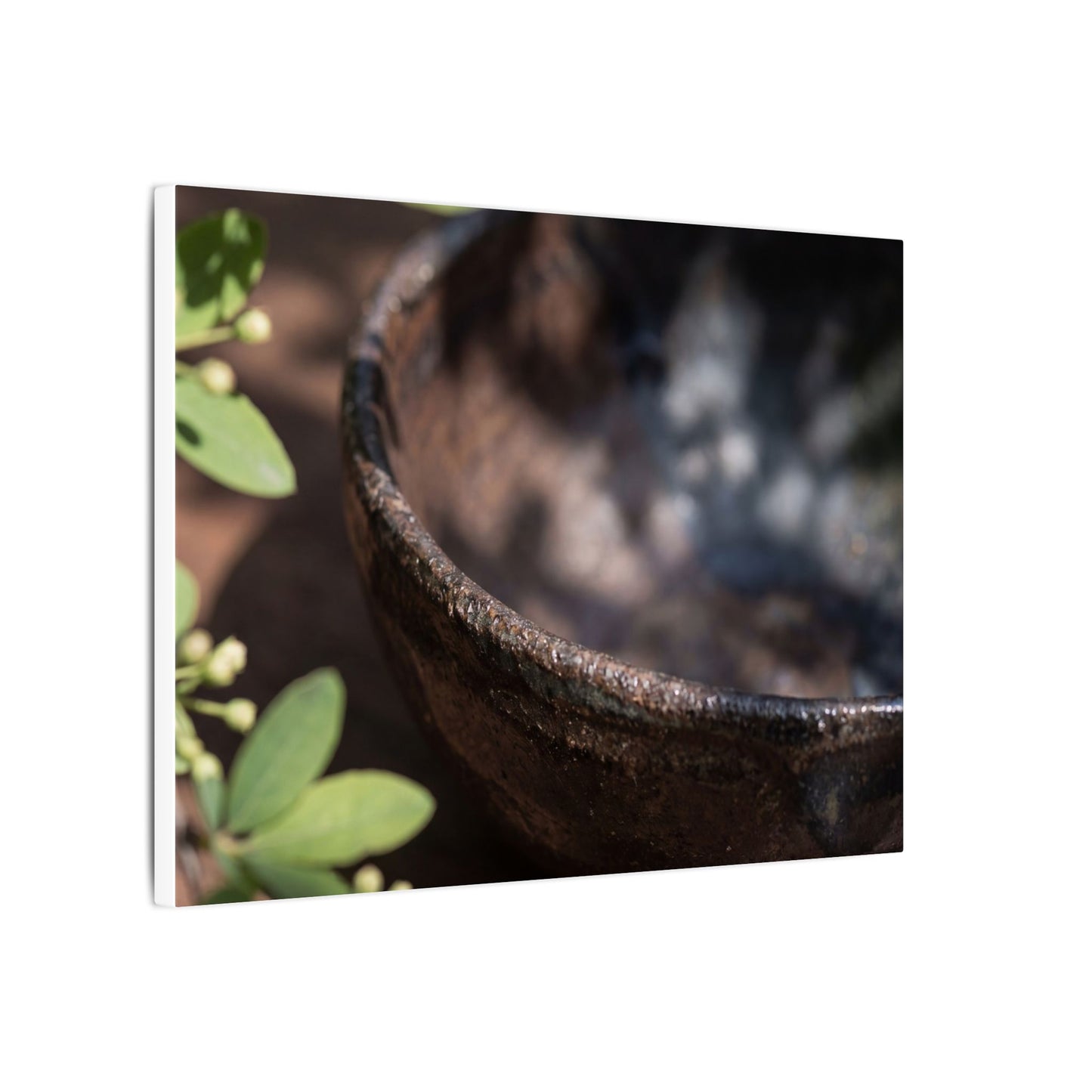 Ceramic Bowl Shadow Zen Canvas Art | Moody Dark Japandi Art