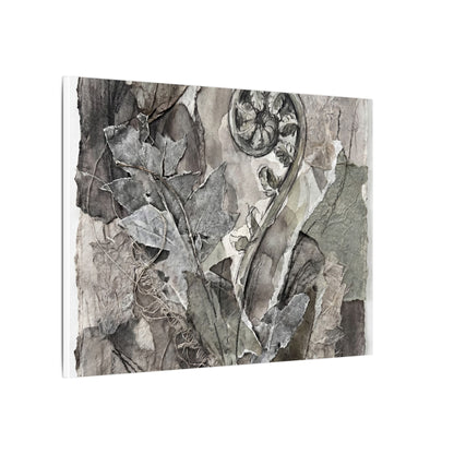 Japandi Fern Unfurling in Overcast | Texture Canvas Art