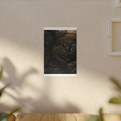 Moody Pine Tree Canvas Art - Moody Minimal Dark Japandi