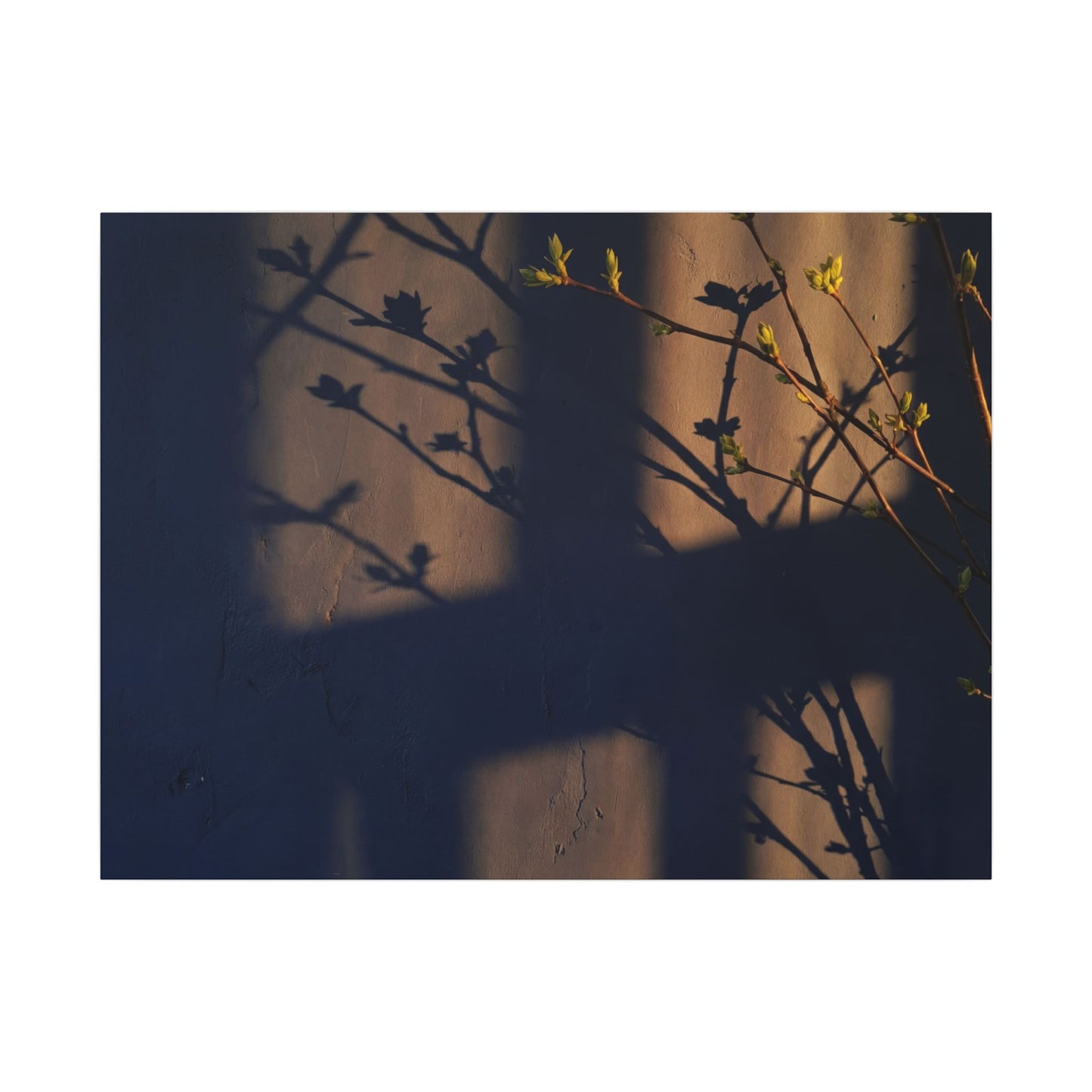 Shadow Play Canvas Art | Spring Dark Japandi Shadow Zen Art Art Print
