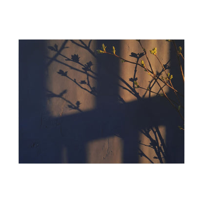 Shadow Play Canvas Art | Spring Dark Japandi Shadow Zen Art Art Print