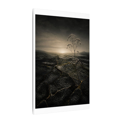 Dawn Cracked Earth Canvas Art - Dark Japandi Mono No Aware