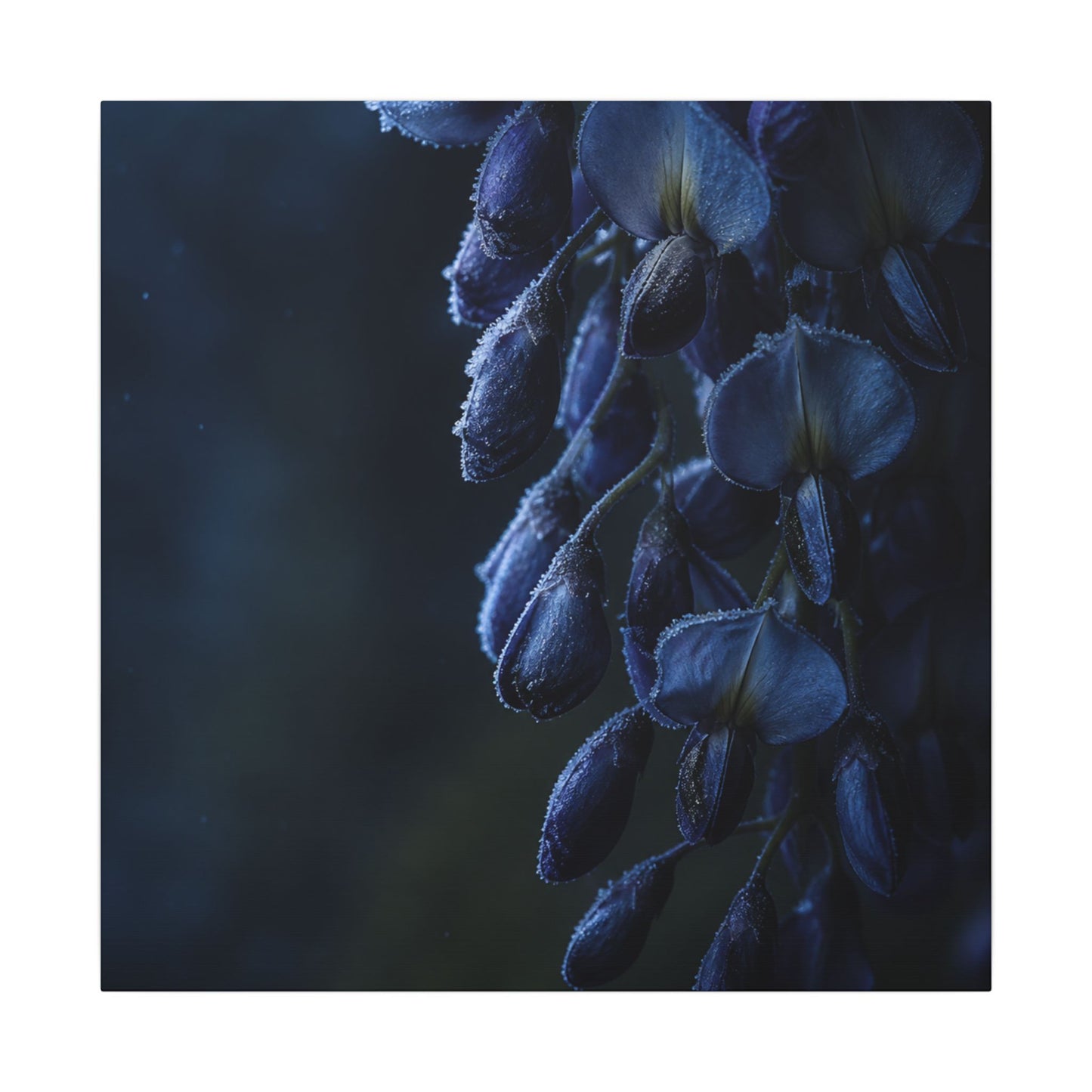 Winter Wisteria Shadow Zen Canvas Art | Atmospheric Decor