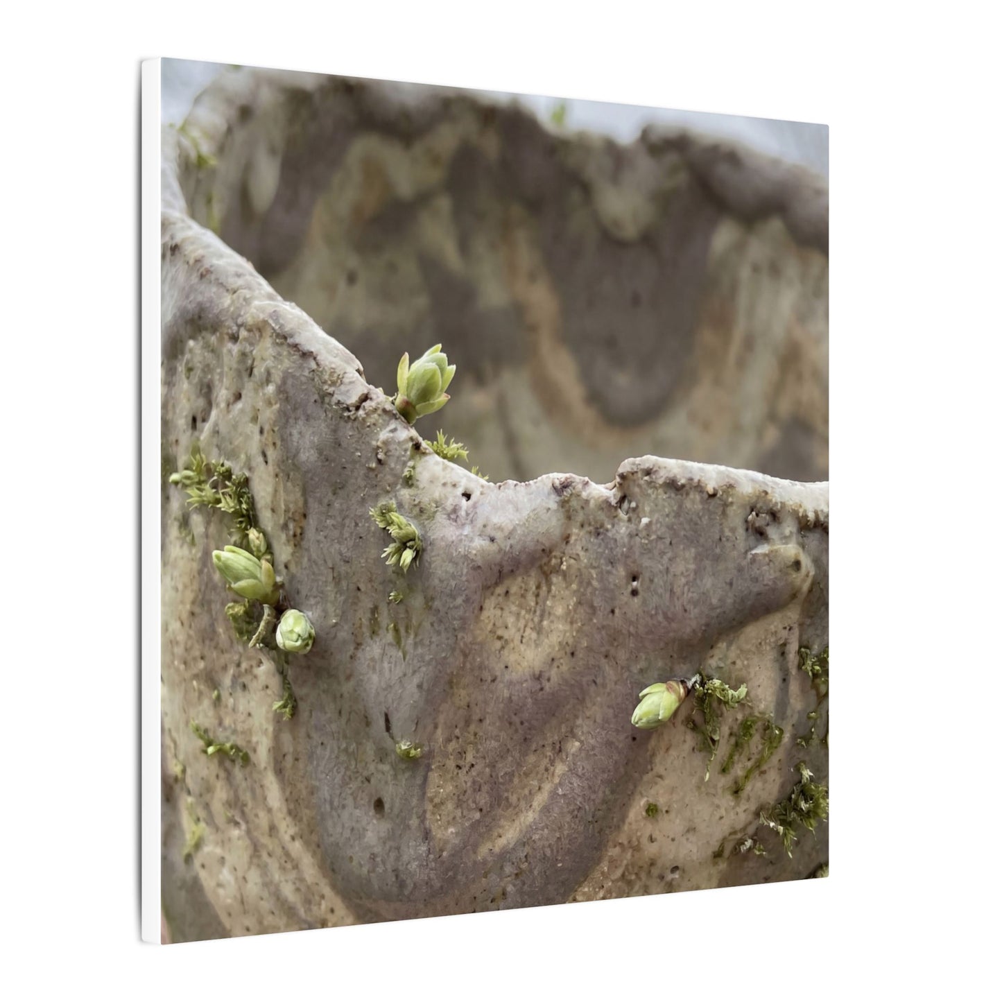 Overcast Ceramic Bowl Canvas Art - Japandi Fukinsei