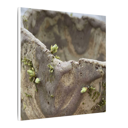 Overcast Ceramic Bowl Canvas Art - Japandi Fukinsei