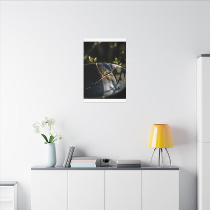 Seijaku Broken Pottery Canvas Art - Dark Japandi Shadow Zen