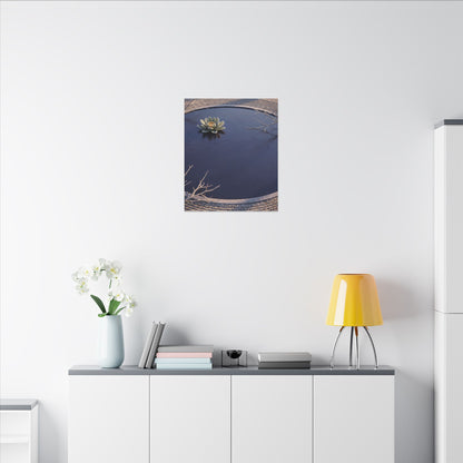 Lotus Flower Canvas Art | Winter Zen Karesansui Art