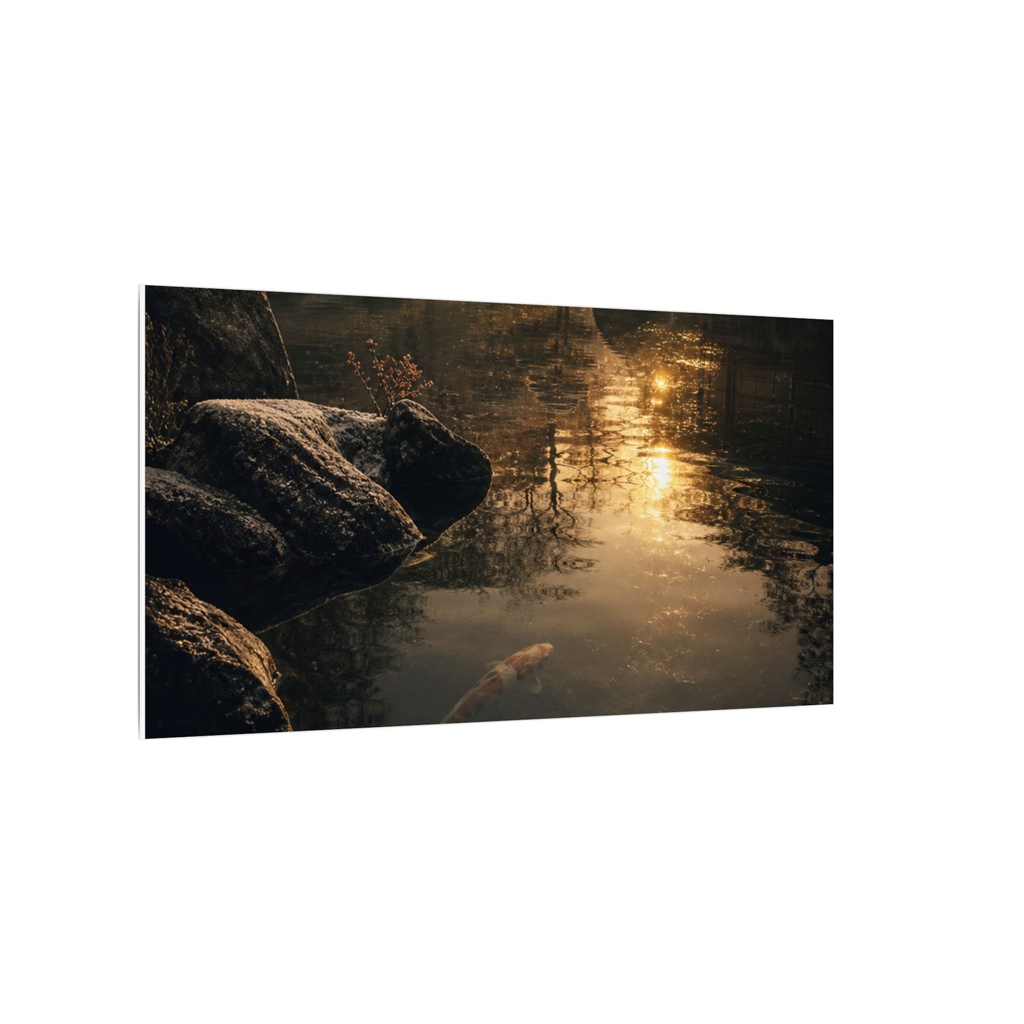 Winter Koi Pond Shadow Zen Canvas Art | Bold Decor